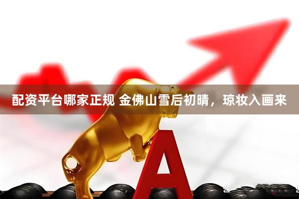 配资平台哪家正规 金佛山雪后初晴，琼妆入画来