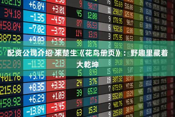 配资公司介绍 来楚生《花鸟册页》：野趣里藏着大乾坤