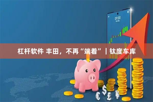 杠杆软件 丰田，不再“端着”｜钛度车库